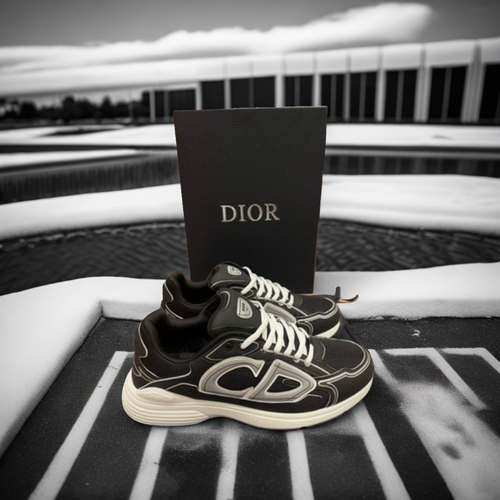 Dior B30