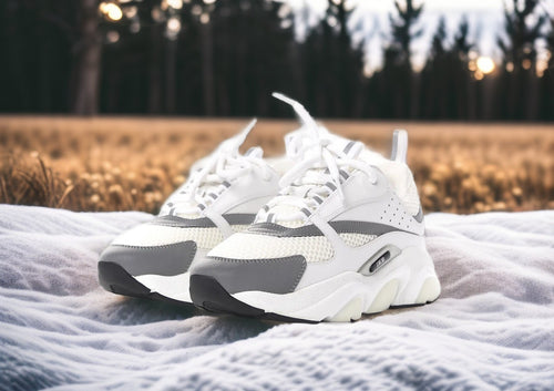 Dior B22