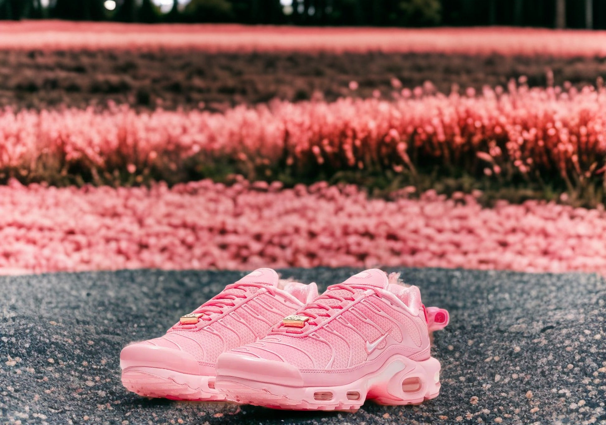 Nike Air Max TN
