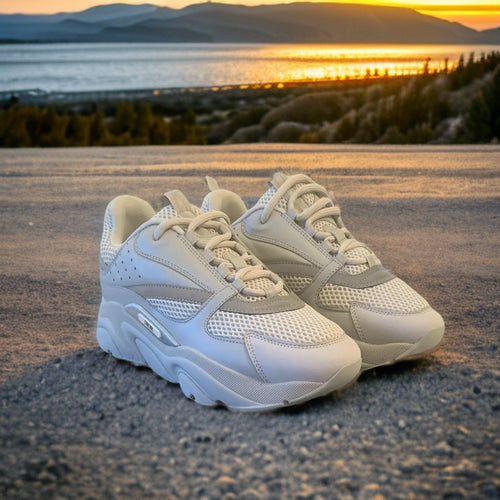 Dior B22
