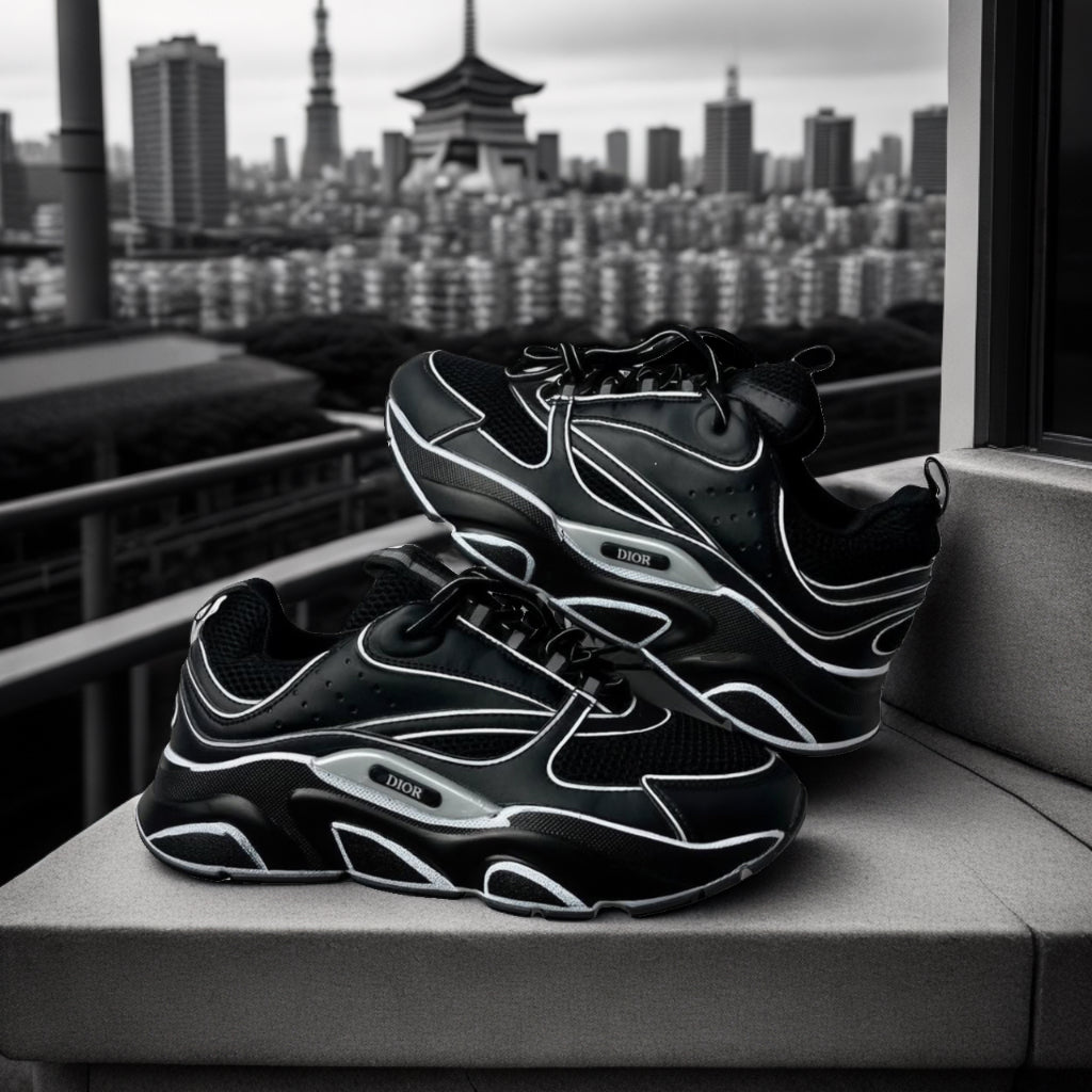 Dior B22